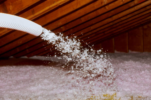 Best Insulation Installation Services in Shelley, ID