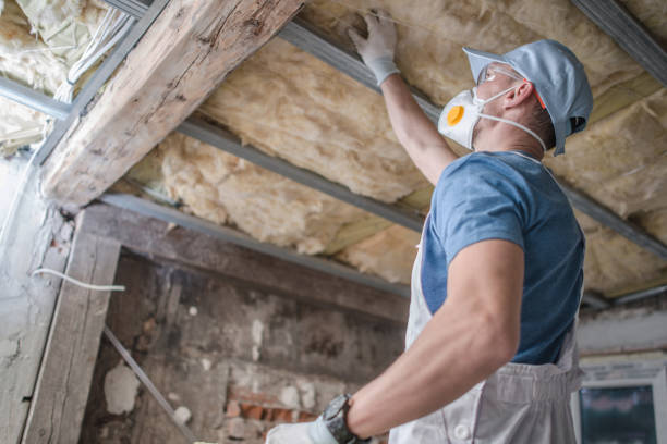Best Commercial Insulation in Shelley, ID